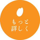 もっと詳しく